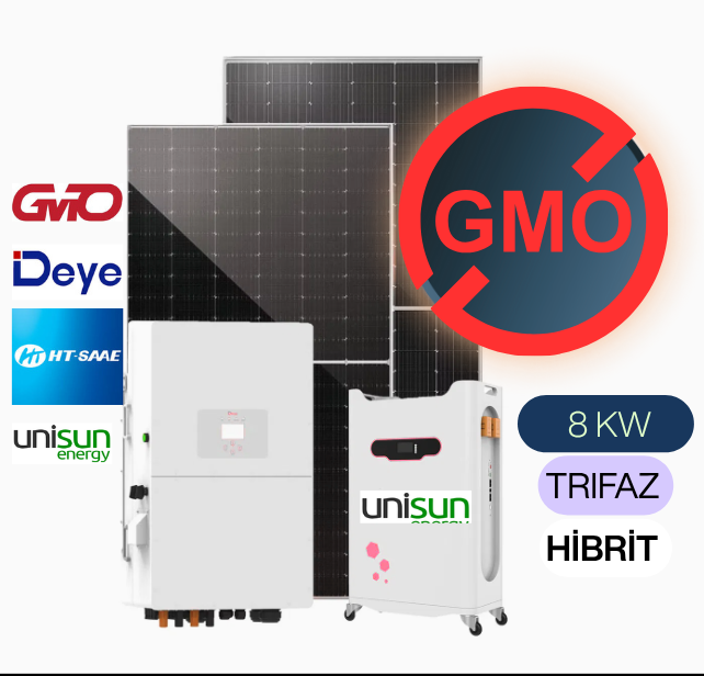 8 KW HİBİRT TRIFAZ LV