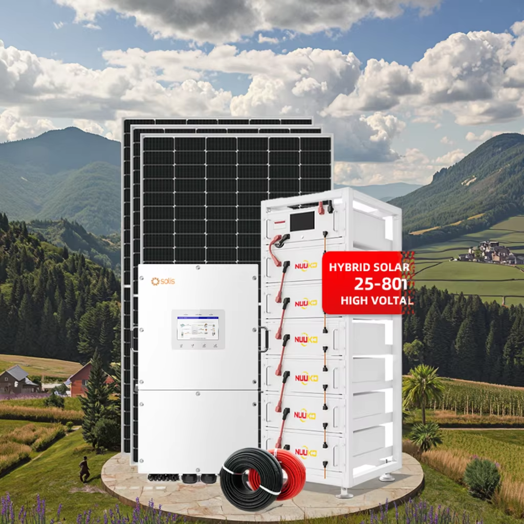 40 SOLİS HİBRİT FUUL PAKET